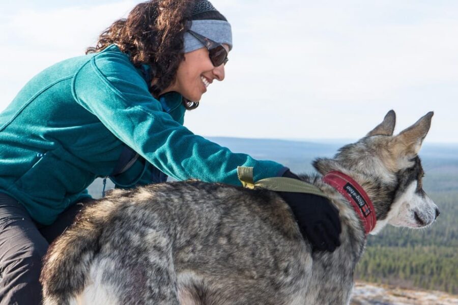 Rovaniemi: One Hour Husky Experience - A Husky Ride in Rovaniemi That Fits Real Winter Energy
