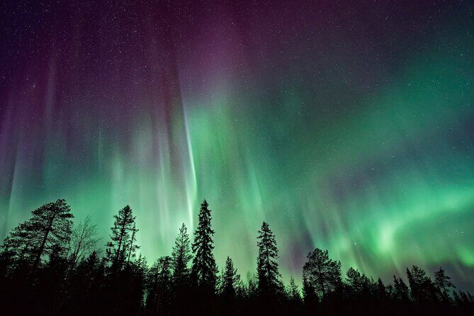Rovaniemi: Private Aurora Tour with Guaranteed Sightings - Why 24/7 Back-Office Support Is a Big Deal