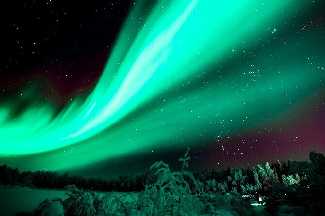 Rovaniemi: Private Aurora Tour with Guaranteed Sightings - Step One: Rovaniemi Pickup and the Private Bus Advantage