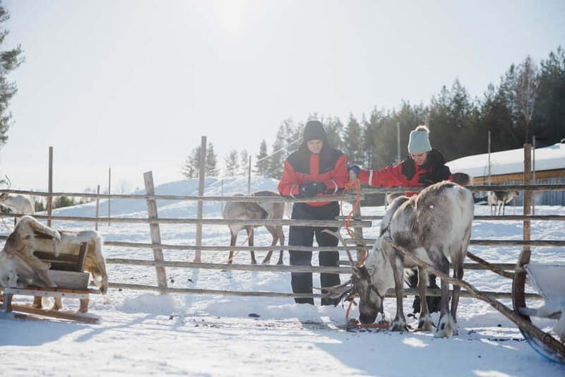 Rovaniemi: Reindeer Experience with Sleigh Ride - The warm hut break: hot juice, biscuits, and a calmer pace