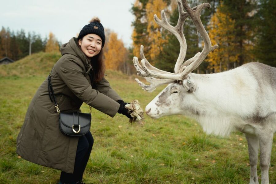 Rovaniemi: Reindeer Farm Visit with Photographer - From Rovaniemi Pickup to a Real Lapland Reindeer Farm