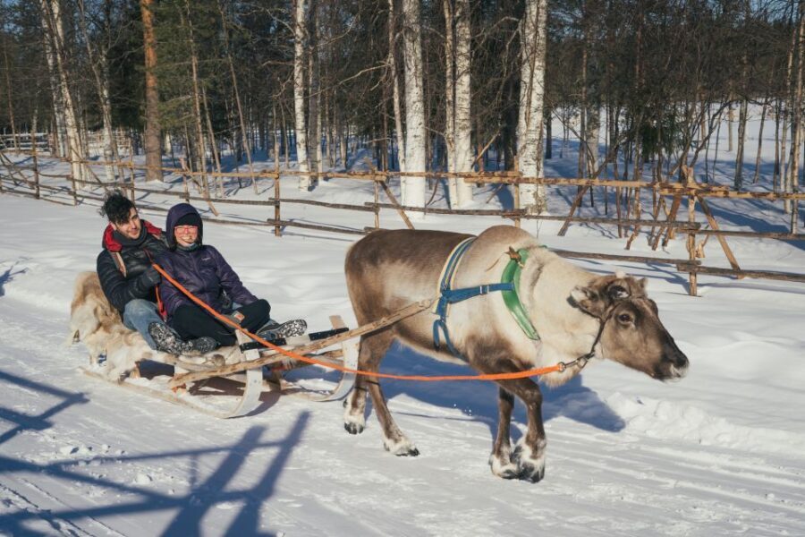 Rovaniemi: Reindeer Farm Visit with Photographer - Warm-Up Time by the Fire: Hot Drinks and Cookies