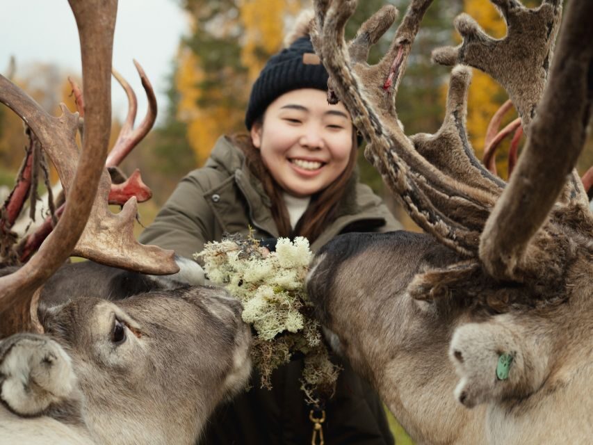 Rovaniemi: Reindeer Farm Visit with Photographer - Photographer-Run Photos: What You Get, and What You Don’t