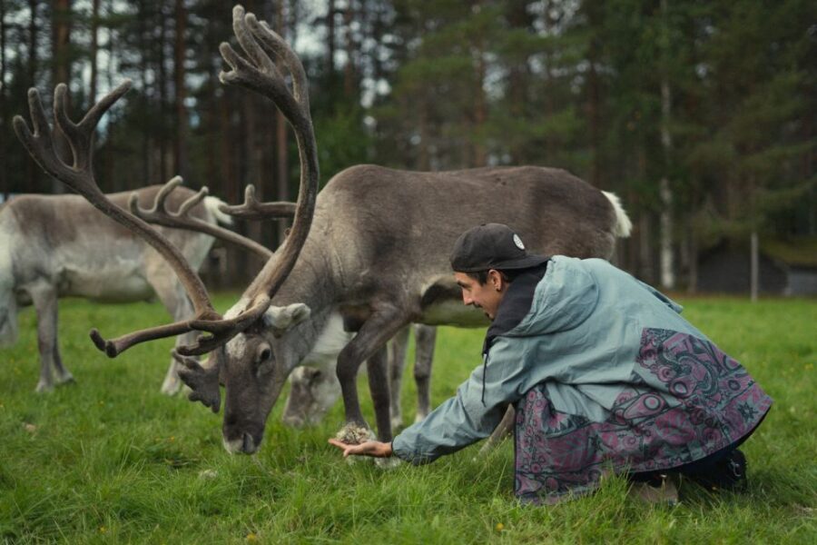 Rovaniemi: Reindeer Farm Visit with Photographer - How the Group Size Changes Everything