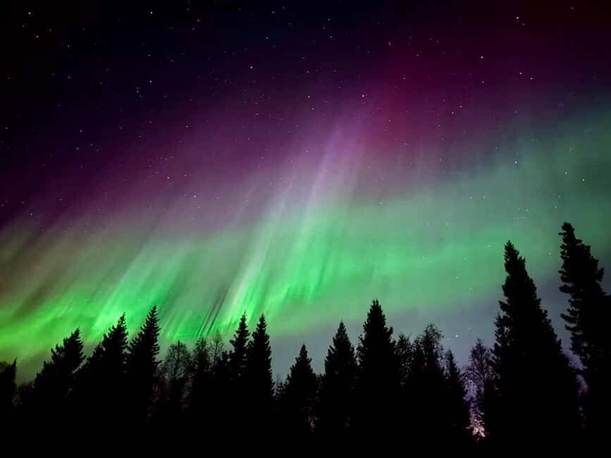 Rovaniemi: Reindeer, Huskies, Santa's Pets & Aurora Hunt - Aurora hunt: two spots, phone coaching, and the patience game