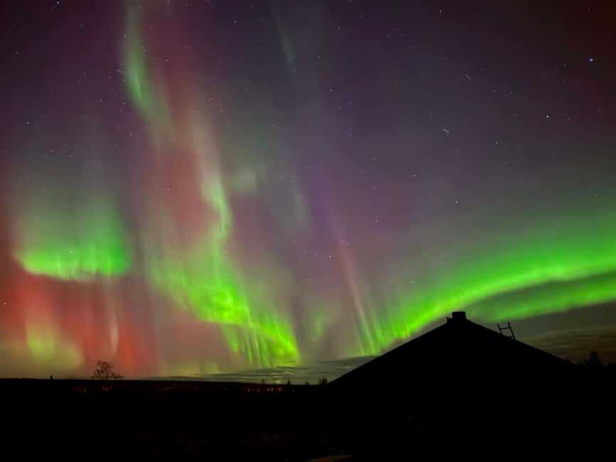 Rovaniemi: Reindeer, Huskies, Santa's Pets & Aurora Hunt - Price and what you get for about $271