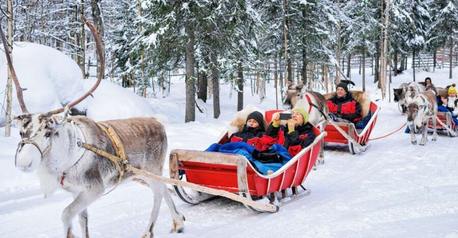 Rovaniemi: Reindeer Sleigh Ride with Hot Drink and Cookies - Key things that make this reindeer ride worth your time