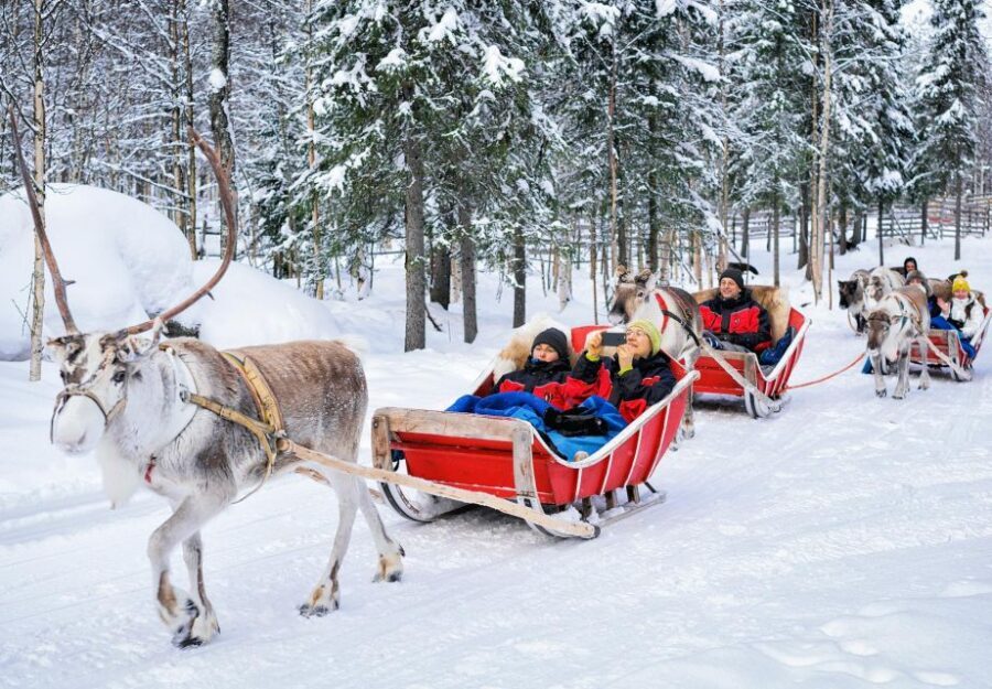 Rovaniemi: Reindeer Sleigh Ride with Hot Drink and Cookies - Who this reindeer sleigh ride suits best