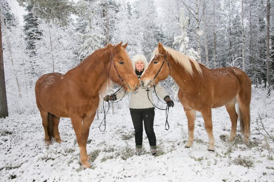 Rovaniemi: Riding Tour with Finnhorses at SCV - The kota hut finale: warm drink, gingerbread, and marshmallows by the fire