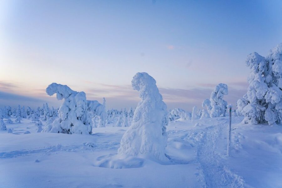 Rovaniemi: Riisitunturi National Park Day Trip with Lunch - Campfire Lunch: Finnish-Style Food and Real Fire Skills