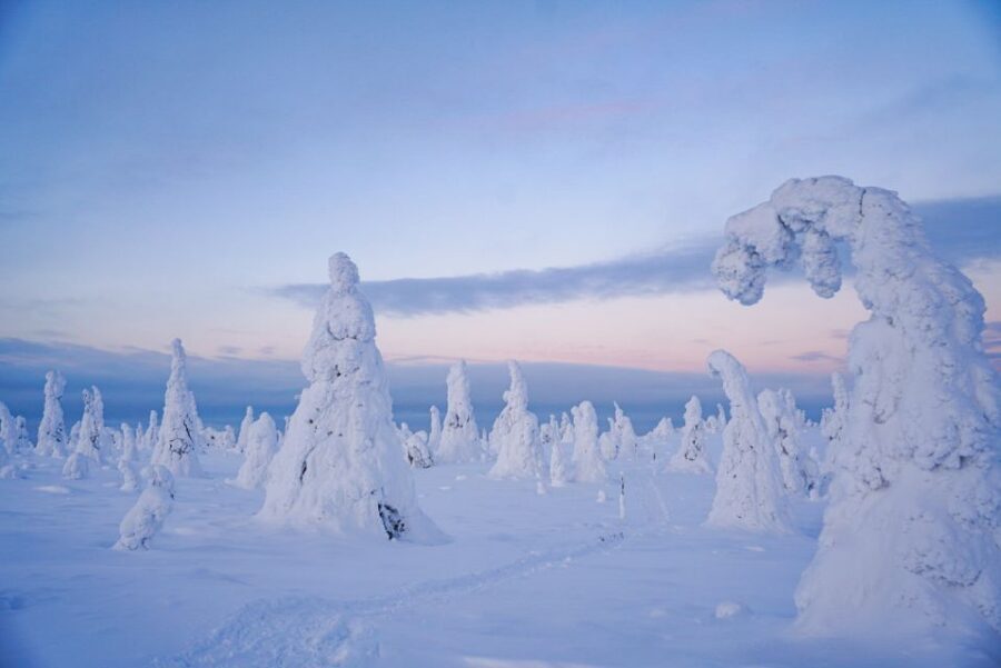 Rovaniemi: Riisitunturi National Park Day Trip with Lunch - Timing and Logistics: A Full Day Without Feeling Crazy