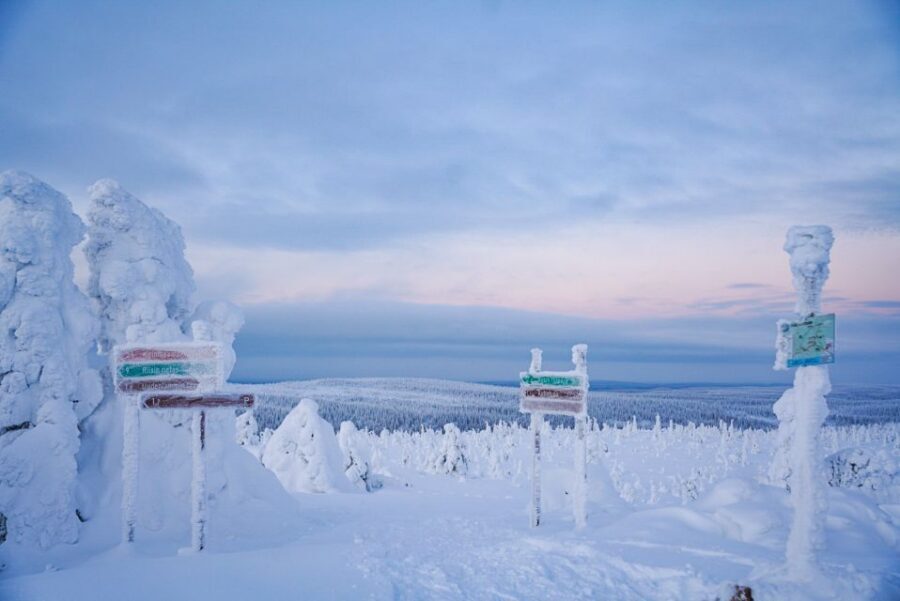 Rovaniemi: Riisitunturi National Park Day Trip with Lunch - Price and Value: Is $223 Fair for This Day?