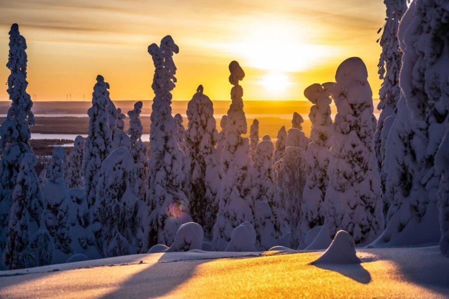 Rovaniemi: Riisitunturi National Park with Pro Photos & BBQ - Quick hits before you go
