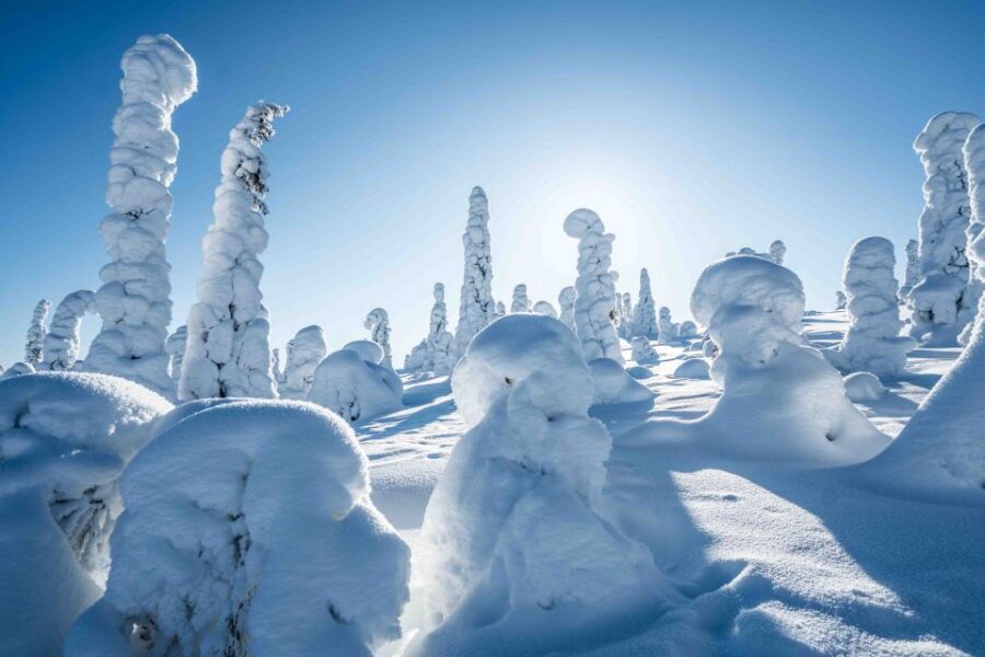 Rovaniemi: Riisitunturi National Park with Pro Photos & BBQ - Who this tour fits best (and who might want to think twice)