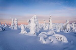 Rovaniemi: Riisitunturi National Park with Pro Photos & BBQ - Your pro photographer guide: how you get better photos without fuss