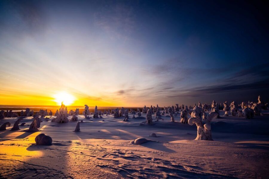 Rovaniemi: Riisitunturi National Park with Pro Photos & BBQ - What’s provided (and what it means for your packing)