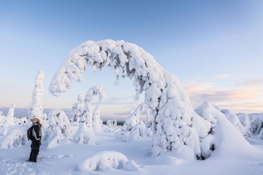 Rovaniemi: Riisitunturi National Park with Pro Photos & BBQ - Value check: what you’re really paying for at $159