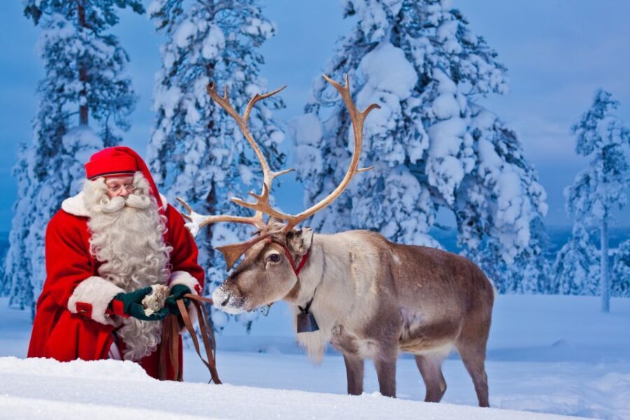 Rovaniemi: Santa Claus Village and Arctic Circle - The Buffet Lunch Break: Warmth, Seating, and an Easy Reset