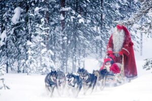 Rovaniemi Santa Claus Village Husky Reindeer Farm Arctic Museum - Price and Time Value for a 7-Hour Tour