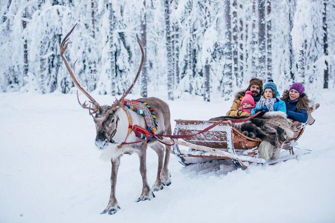 Rovaniemi Santa Claus Village Husky Reindeer Farm Arctic Museum - Husky and Reindeer Sleigh Rides: The True Lapland Moment