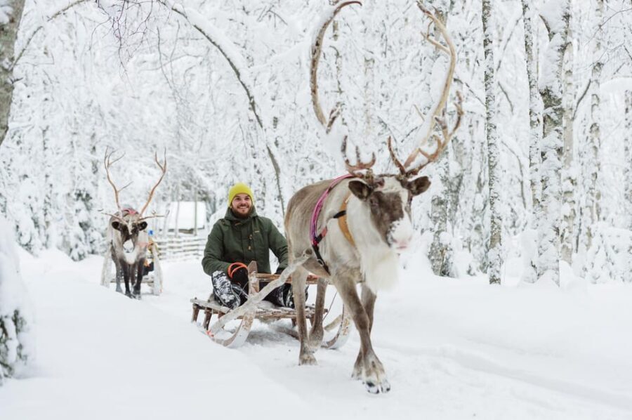 Rovaniemi: Santa Claus Village + Husky & Reindeer Sled Ride - Key highlights worth planning around
