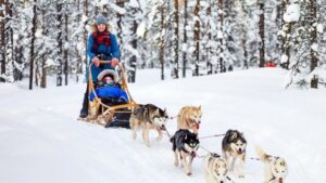 Rovaniemi: Santa Claus Village + Husky & Reindeer Sled Ride - Santa Claus Village: meeting Santa where it counts