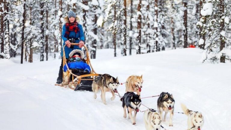 Rovaniemi: Santa Claus Village + Husky & Reindeer Sled Ride - Santa Claus Village: meeting Santa where it counts
