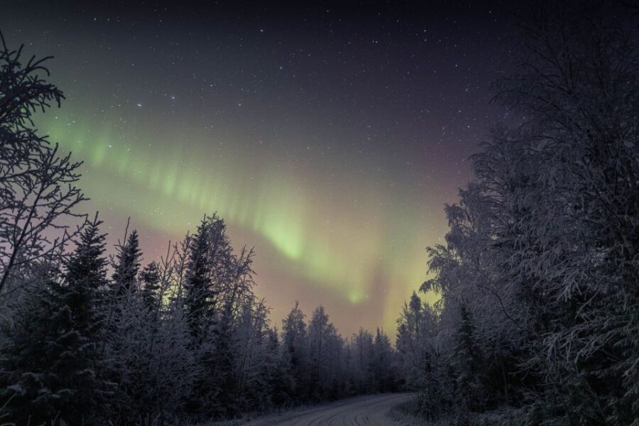 Rovaniemi: Sauna & Ice Swimming Tour with Dinner and Aurora - Who This Tour Suits Best (And Who Should Skip It)