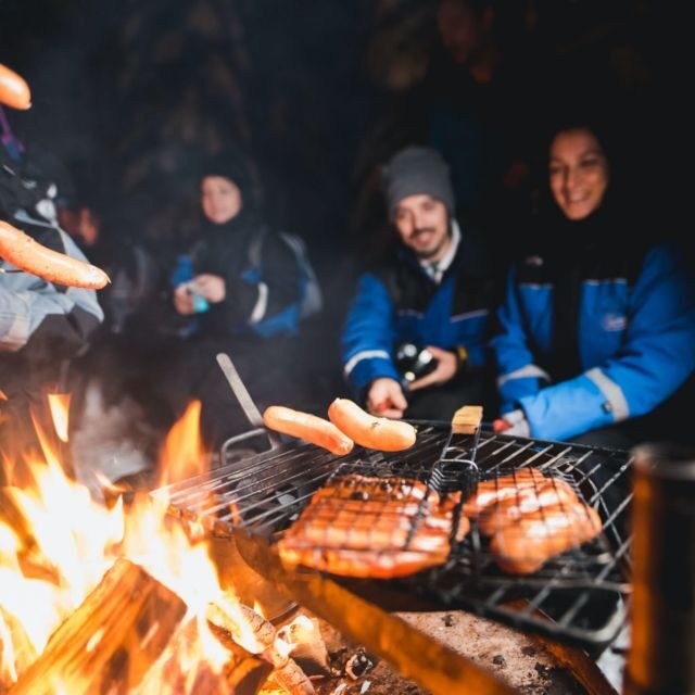Rovaniemi: Search for Northern Lights Snowmobiling Trip - Key highlights at a glance