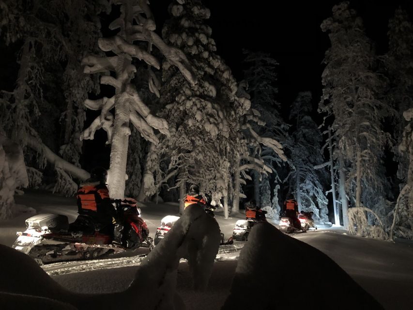 Rovaniemi: Search for Northern Lights Snowmobiling Trip - Group size, pace, and who this suits best