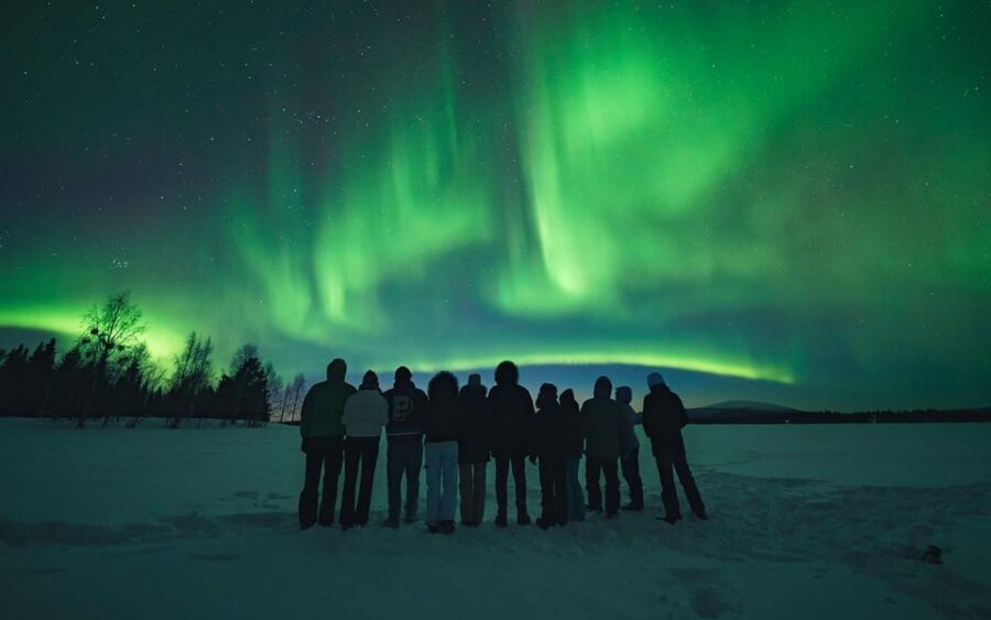 Rovaniemi: Small Group Aurora Hunt-full money back guarantee - Pickup in Rovaniemi: convenient meeting, flexible timing