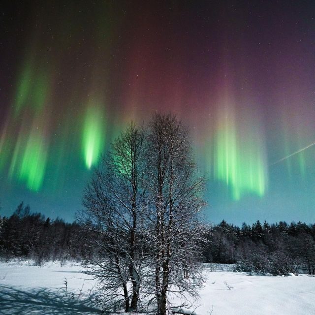 Rovaniemi: Small Group Aurora Hunt-full money back guarantee - The route and viewing plan: moving to clear skies until it happens