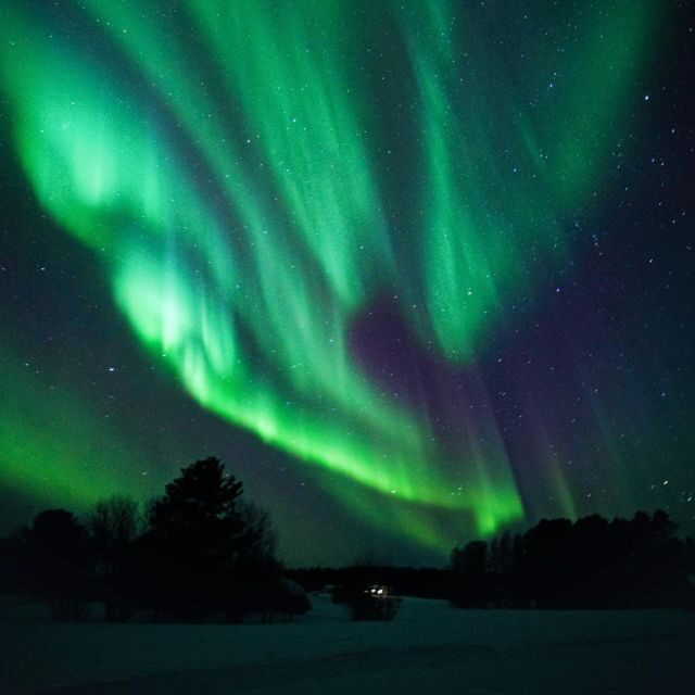 Rovaniemi: Small Group Aurora Hunt-full money back guarantee - How the guide’s aurora approach shows up (from how people describe it)