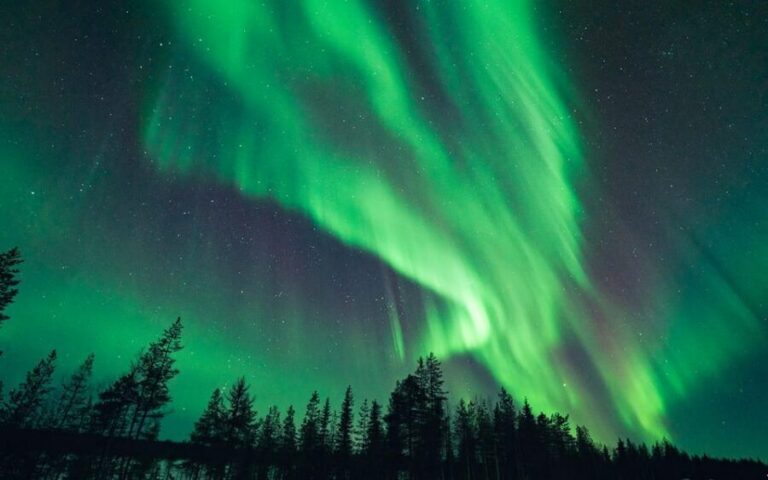 Rovaniemi: Small Group Aurora Hunt-full money back guarantee - The small-group setup (up to 8) you’ll feel immediately