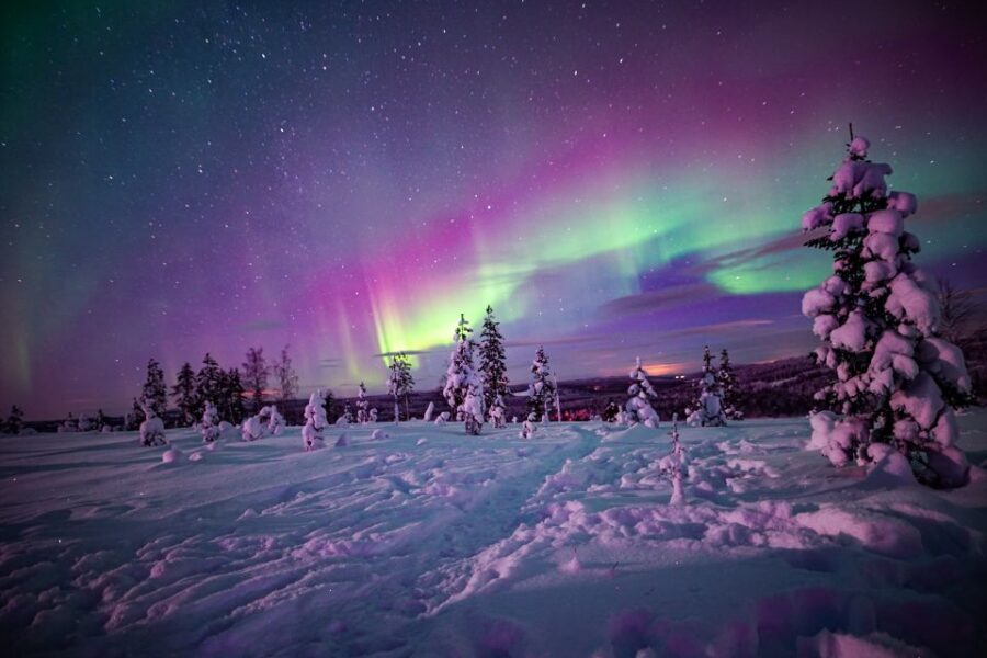 Rovaniemi: Small-Group Northern Lights Wilderness Tour - What Clothing and Cold Reality Look Like