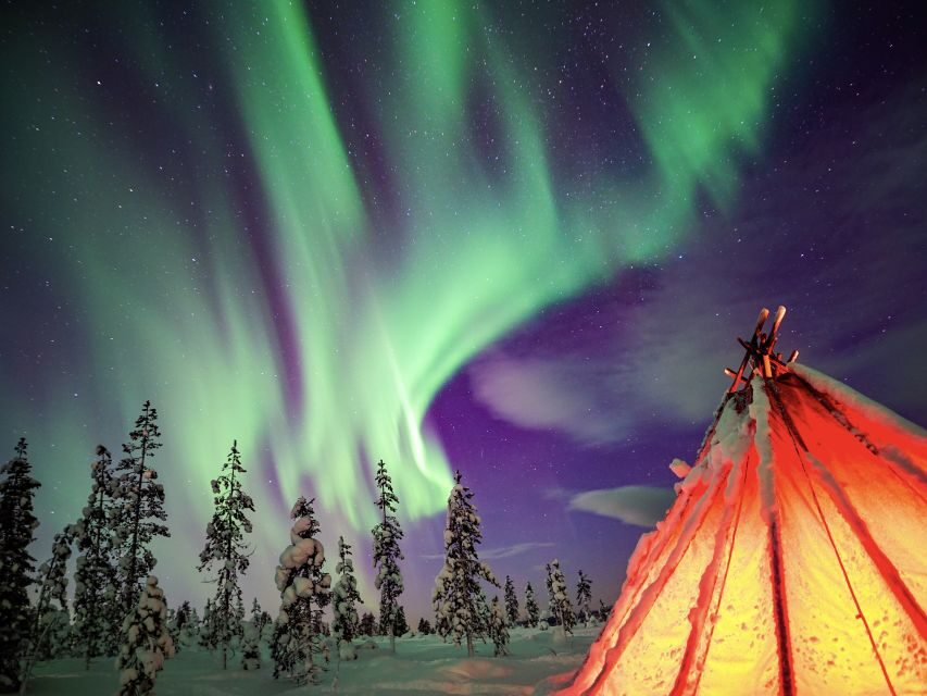 Rovaniemi: Small-Group Northern Lights Wilderness Tour - Price Check: Is $136 Good Value for This Aurora Night?