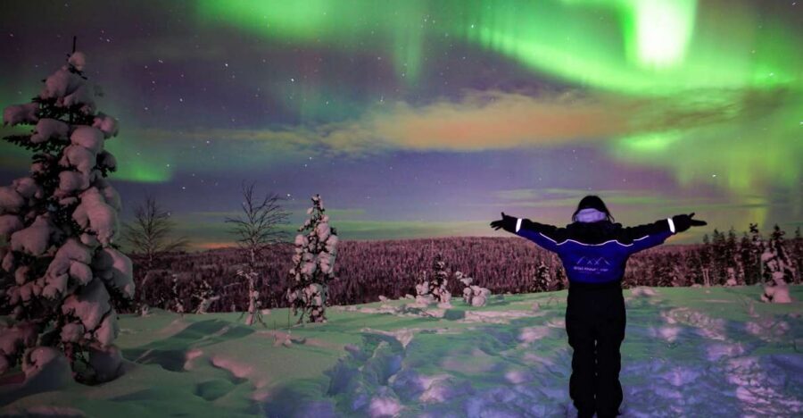 Rovaniemi: Small-Group Northern Lights Wilderness Tour - Who This Tour Suits Best in Rovaniemi