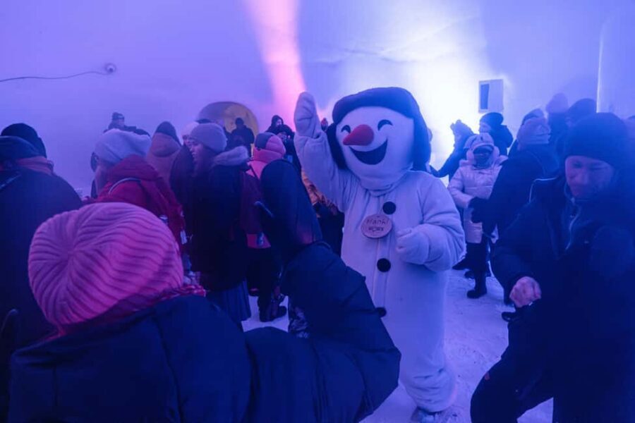 Rovaniemi: Snowman World Entrance Ticket - Tube Slides and Icy Hill Runs: The Activity Most People Remember