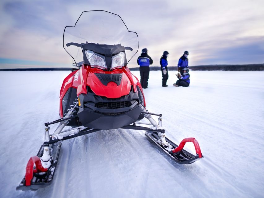Rovaniemi: Snowmobile Adventure Tour for Adults Only - License Rules and Practical Driver Requirements (Don’t Skip This)