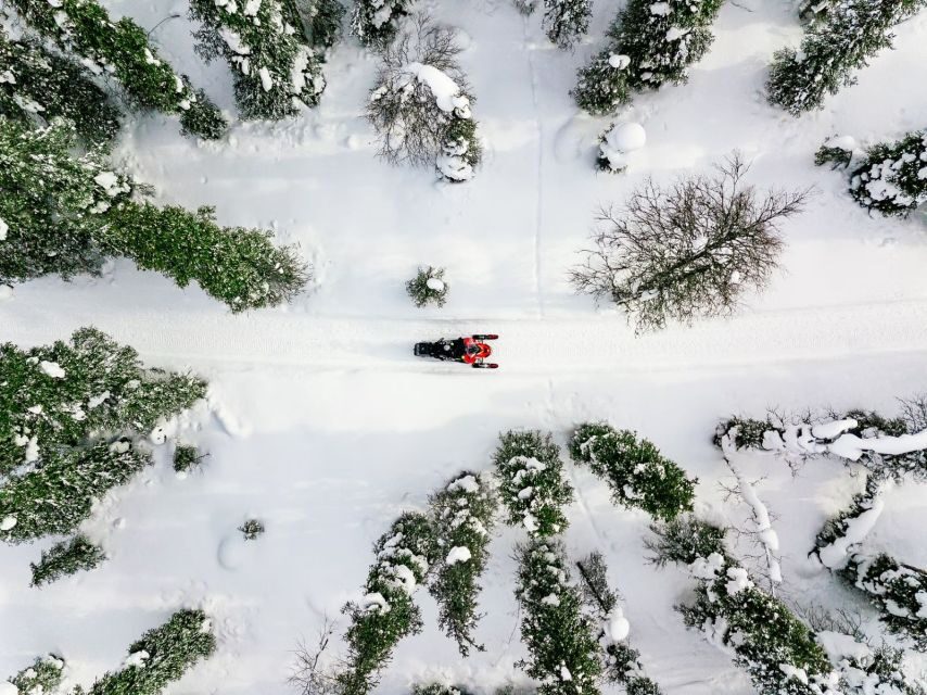 Rovaniemi: Snowmobile Safari Adventure - Key Points Before You Go