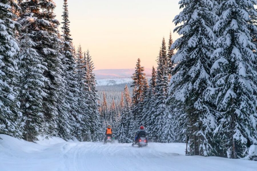 Rovaniemi: Snowmobile Safari Adventure - Gear That Keeps You Riding (Not Just Standing Still)