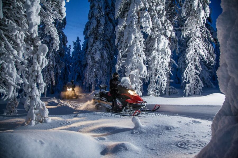 Rovaniemi: Snowmobile Safari & Campfire Evening Escape - Key Things You’ll Notice on This Snowmobile Safari