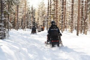 Rovaniemi: Snowmobile Safari into the Arctic Circle Forest - Snowmobile setup and who drives: sharing, supplements, and kids in the sleigh