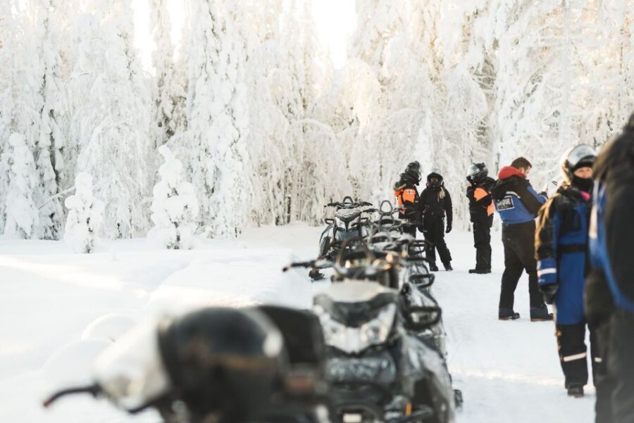 Rovaniemi: Snowmobile Safari into the Arctic Circle Forest - Photo stops and the Arctic winter scenery you came for