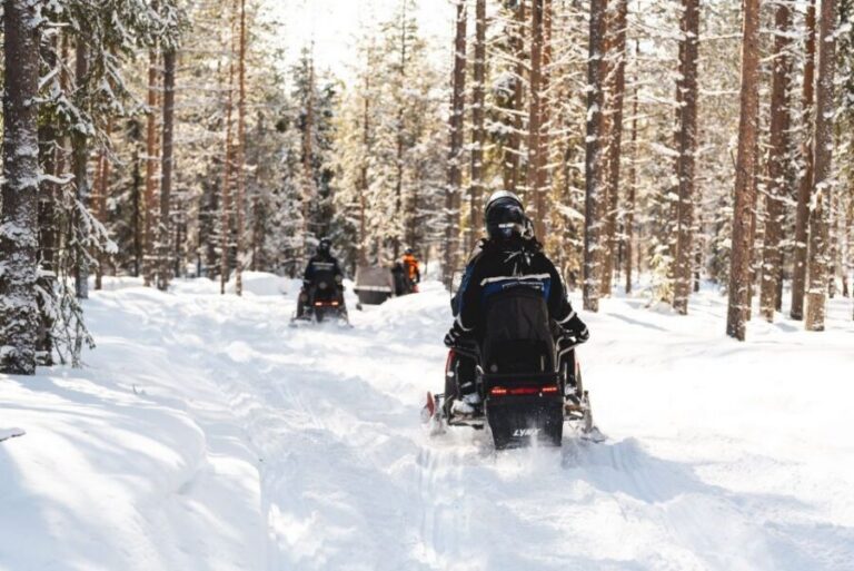 Rovaniemi: Snowmobile Safari into the Arctic Circle Forest - Snowmobile setup and who drives: sharing, supplements, and kids in the sleigh