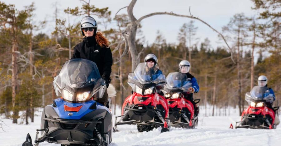 Rovaniemi: Snowmobile Safari into the Wilderness - Pine forests, frozen marshlands, and the fun kind of speed