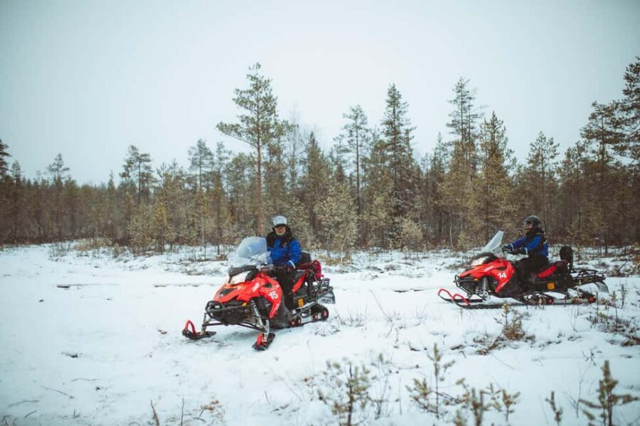 Rovaniemi: Snowmobile Safari into the Wilderness - The silent stop: why that break matters more than you expect