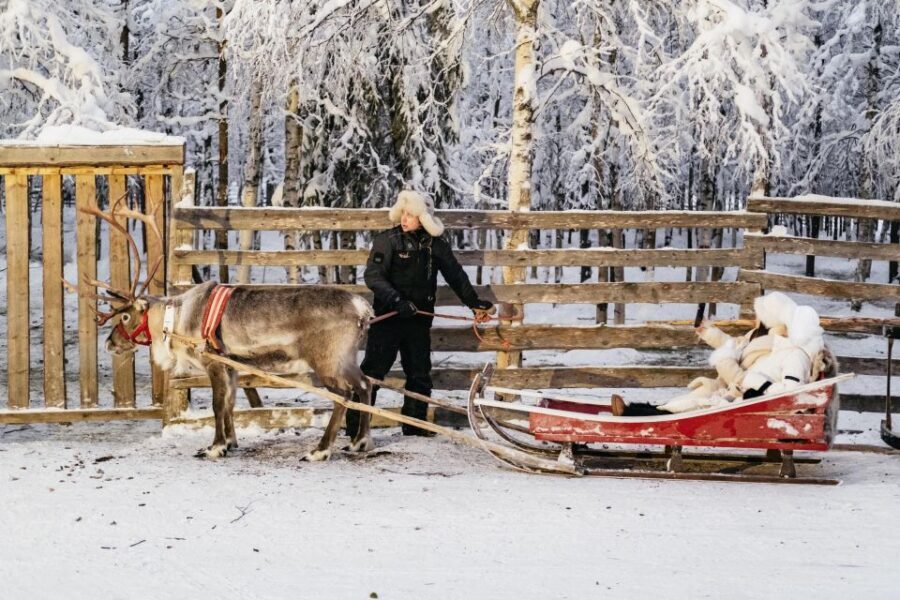Rovaniemi: Snowmobile Safari, Reindeer & Husky Sleigh Ride - Snowmobile Safari: One Hour of Frozen Lake and Forest Power