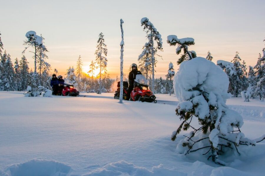 Rovaniemi: Snowmobile Safari to a Reindeer Farm - Your Lapland itinerary: what 3 hours actually feels like