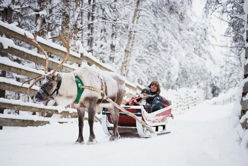 Rovaniemi: Snowmobile Tour and Reindeer Experience - The 1-hour snowmobile safari: Arctic Circle forests at a steady pace